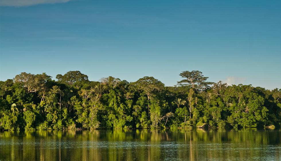 Seis curiosidades desconocidas sobre el Amazonas