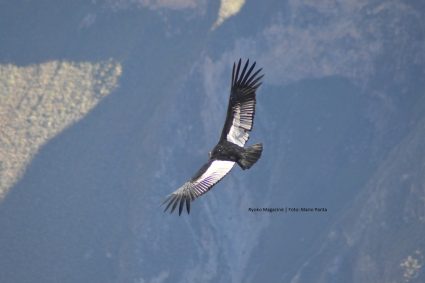 Visita los paraísos naturales del Perú con Google Maps