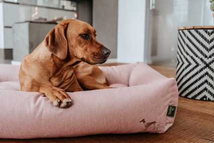 Hunter inaugura su primera tienda de lujo en Lima y Latinoamérica