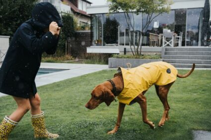 Cinco consejos para cuidar a tu engreído de cuatro patas