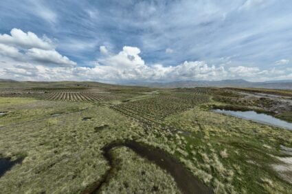 Innovador proyecto en Cusco: 130 Hectáreas forestadas para ampliar los espacios verdes en Espinar