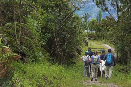 Benetton Perfumes anuncia alianza con «Conservamos por Naturaleza» para reforestar árboles nativos en Perú