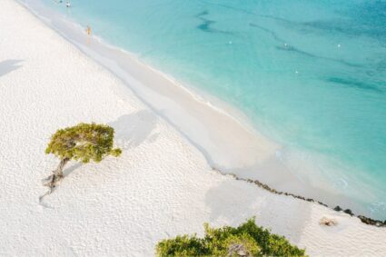 Aruba lidera el Caribe: Mejor destino en los Travelers’ Choice de Tripadvisor 2025