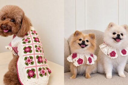 Mister Doggy se convierte en la primera marca peruana en llegar a la Paris Dog Fashion Week
