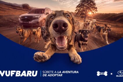 Wufbaru: la plataforma que conecta a perros en adopción con nuevas familias