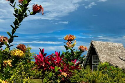 Siete formas simples de desconectarte en estás fiestas, y volver con más energía